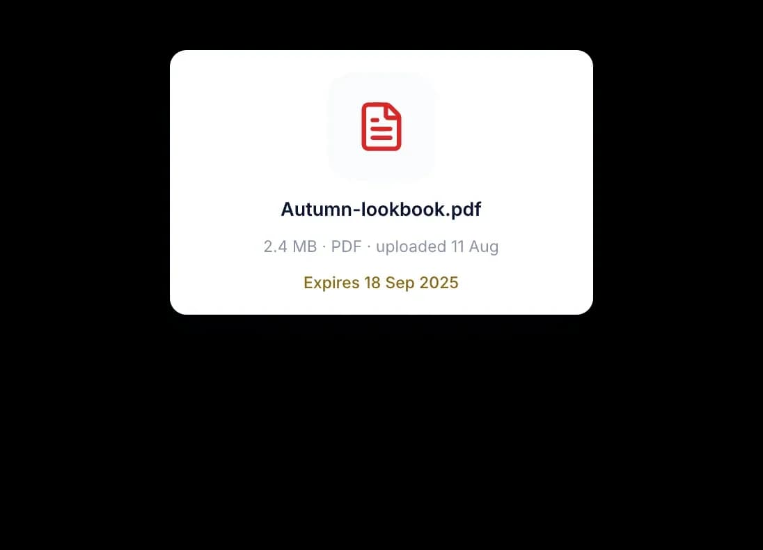Aperçu du PDF importé Autumn-lookbook.pdf, 2,4 Mo, avec une date d’expiration