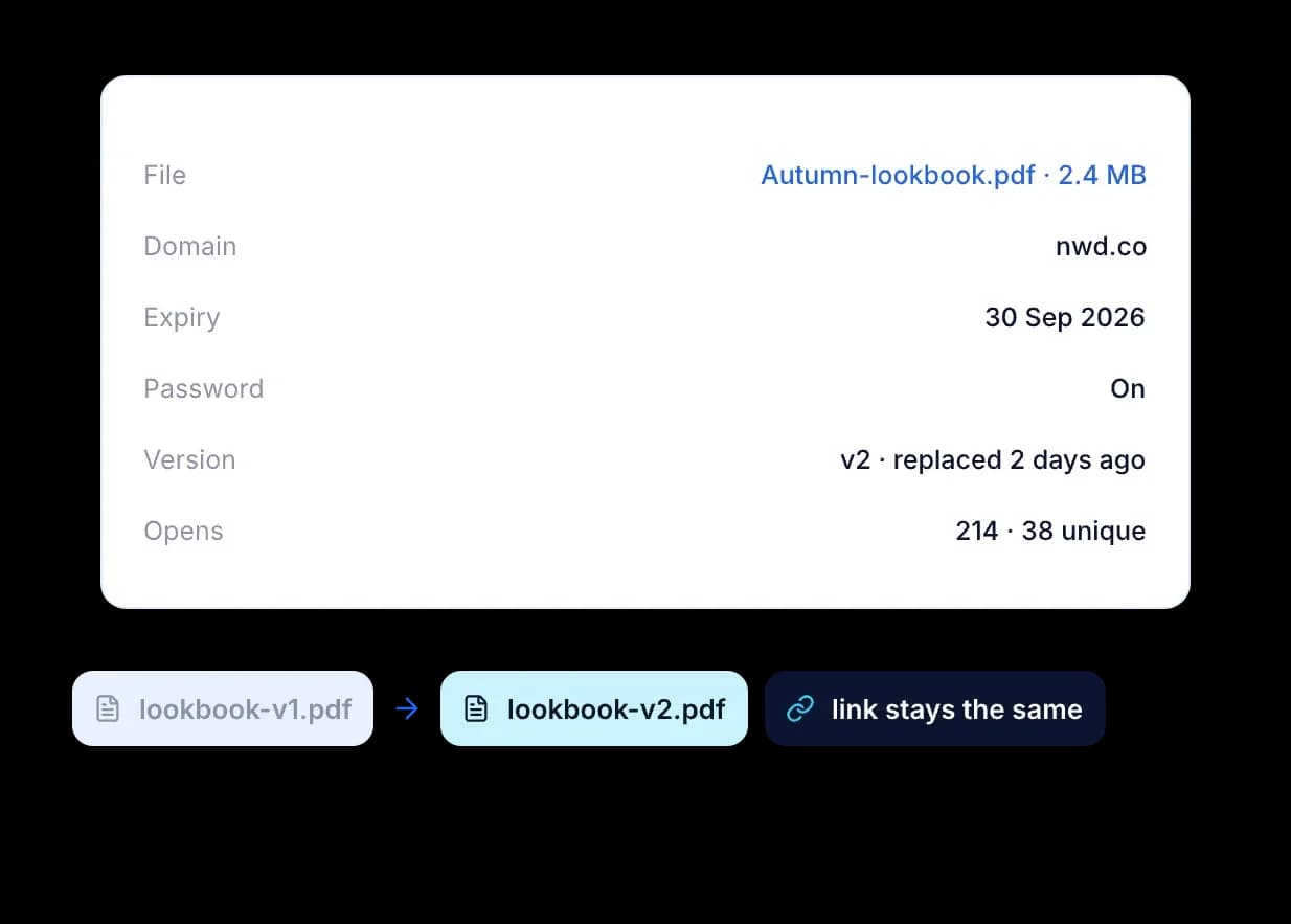 Détails d’un lien de fichier avec domaine, expiration, mot de passe et 214 ouvertures, où lookbook-v1.pdf est remplacé par lookbook-v2.pdf sans changer le lien