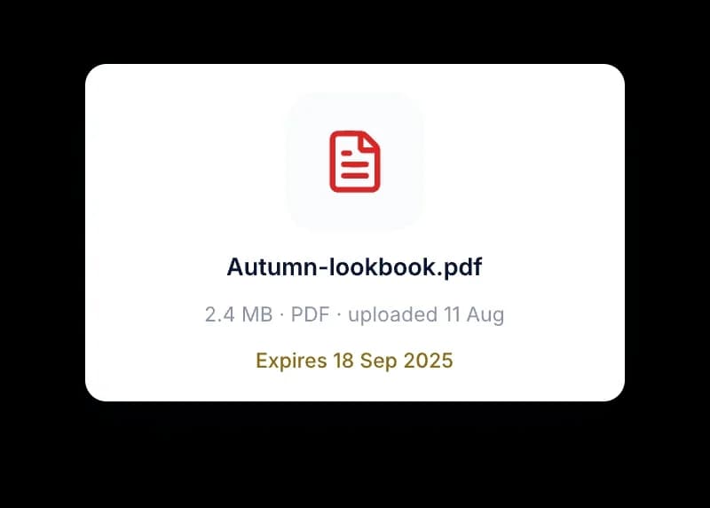 Aperçu d’un fichier PDF importé nommé Autumn lookbook, 2,4 Mo